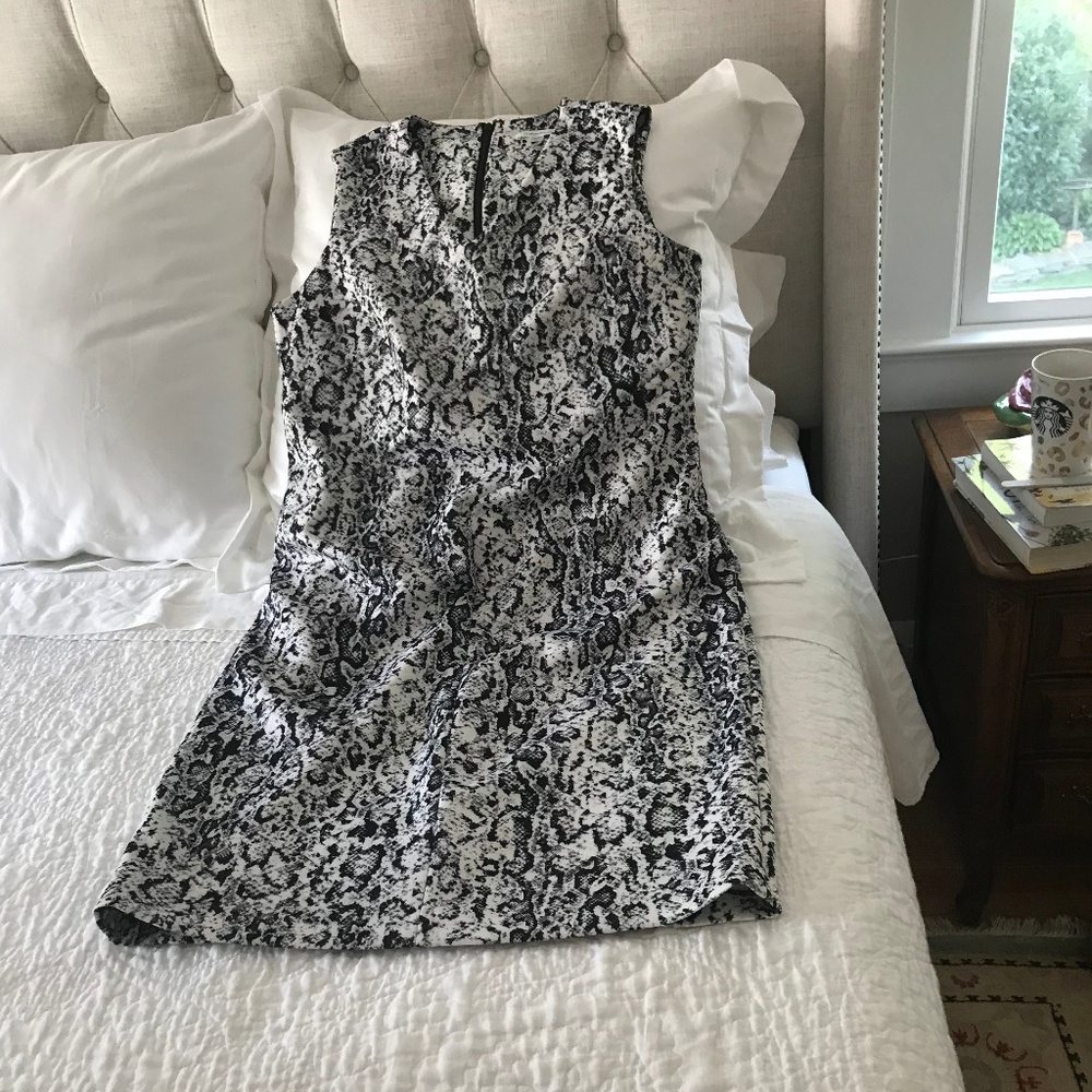 Calvin Klein Dress
